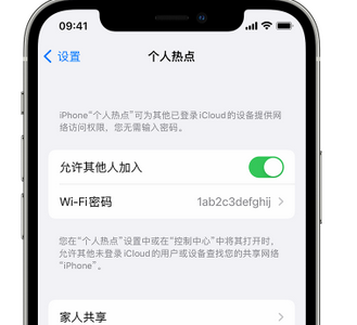 轮台apple服务站点分享iPhone上个人热点丢失了怎么办 