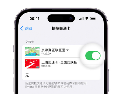 轮台apple维修点分享iPhone上更换Apple Pay快捷交通卡手绘卡面 