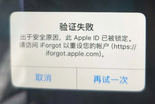 轮台iPhone维修分享iPhone上正常登录或使用AppleID怎么办 