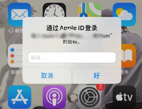 轮台苹果设备维修分享无故多次要求输入AppleID密码怎么办 