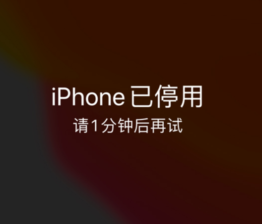 轮台苹果手机维修分享:iPhone 显示“不可用”或“已停用”怎么办？还能保留数据吗？ 