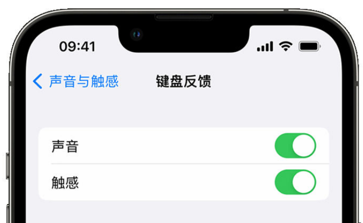 轮台苹果手机维修分享iPhone 14触感键盘使用方法 