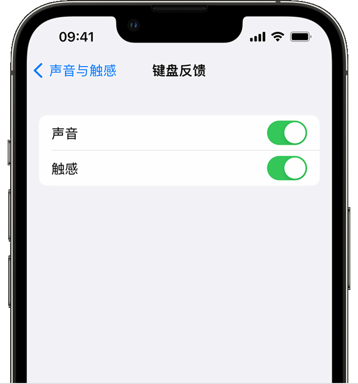 轮台苹果14维修店分享如何在 iPhone 14 机型中使用触感键盘 