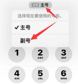 轮台苹果14维修店分享iPhone 14 Pro Max使用副卡打电话的方法 