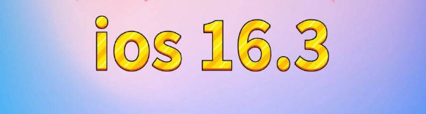 轮台苹果服务网点分享苹果iOS16.3升级反馈汇总 