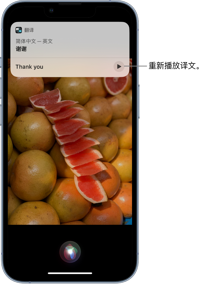 轮台苹果14维修分享 iPhone 14 机型中使用 Siri：了解 Siri 能帮你做什么 