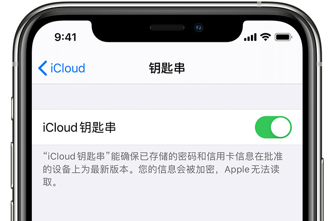 轮台苹果手机维修分享在 iPhone 上开启 iCloud 钥匙串之后会储存哪些信息 