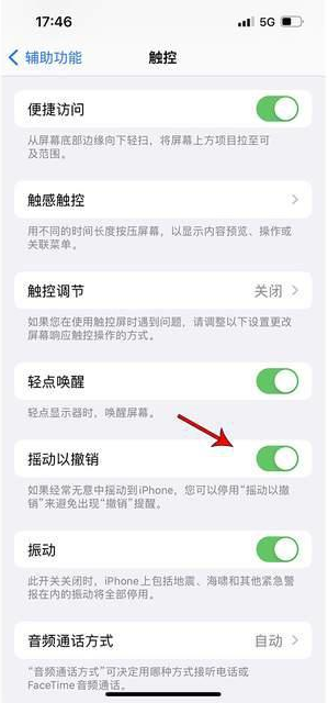 轮台苹果手机维修分享iPhone手机如何设置摇一摇删除文字 