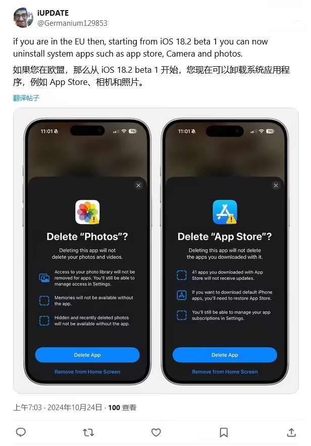 轮台苹果手机维修分享iOS 18.2 支持删除 App Store 应用商店 